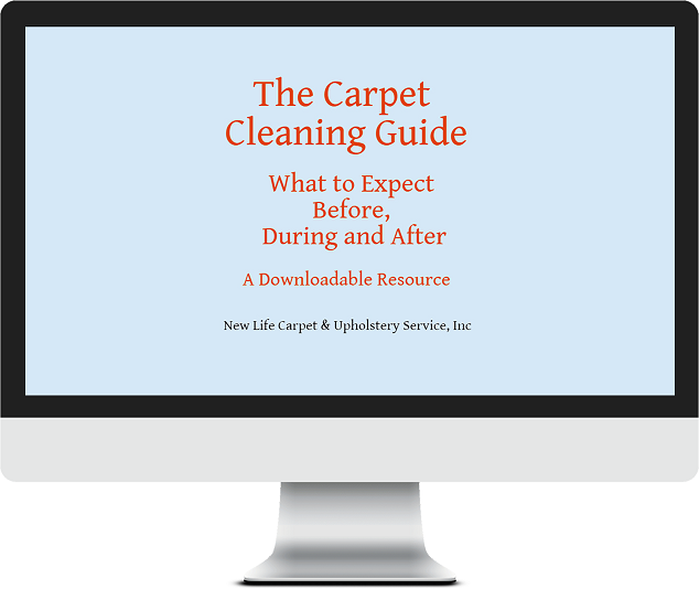 the carpet cleaning guide