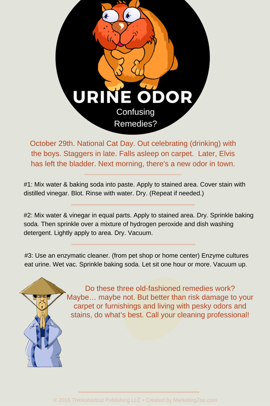 Remove Cat Urine Odor