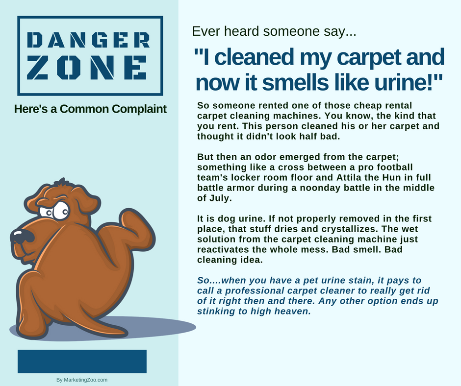 what kills the smell of dog urine